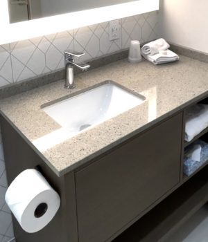 GH_grandech_sallebain_comptoir